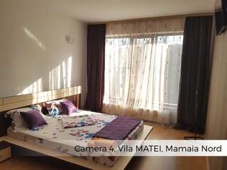 Гостевой дом Vila Matei Мамайя Норд – Нэводари Двухместный номер с 1 кроватью-3