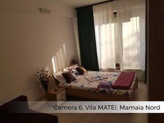 Гостевой дом Vila Matei Мамайя Норд – Нэводари Двухместный номер с 1 кроватью-8