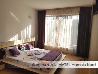 Гостевой дом Vila Matei Мамайя Норд – Нэводари Двухместный номер с 1 кроватью-10