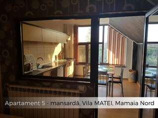 Гостевой дом Vila Matei Мамайя Норд – Нэводари Семейный двухместный номер с 1 кроватью-5