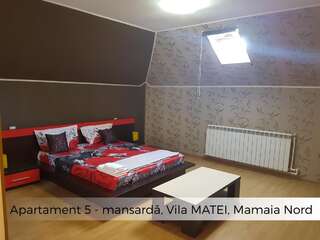 Гостевой дом Vila Matei Мамайя Норд – Нэводари Семейный двухместный номер с 1 кроватью-6
