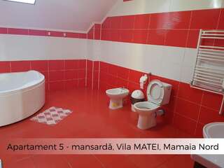 Гостевой дом Vila Matei Мамайя Норд – Нэводари Семейный двухместный номер с 1 кроватью-7